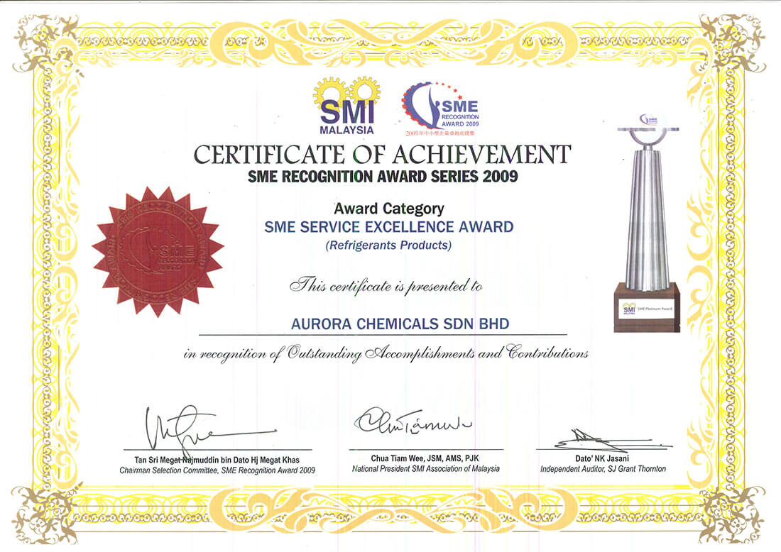 SME Excellence Service Award 209